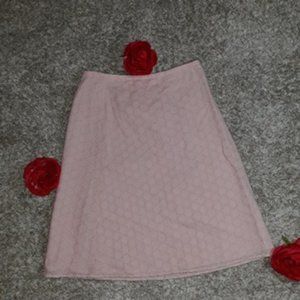 Ann Tylor Pencil Skirt